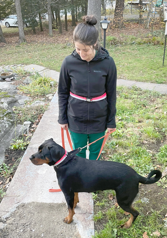 ORBIS® (Rover - Here!) Reflective Neck Bands for Dogs - ORBIS® Safety