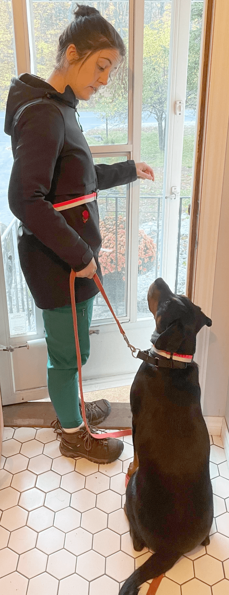 ORBIS® (Rover - Here!) Reflective Neck Bands for Dogs - ORBIS® Safety